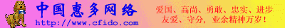 中国惠多网络